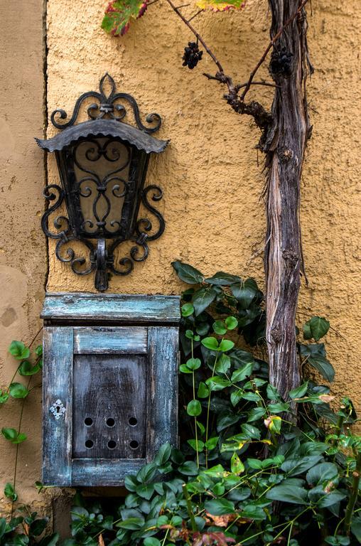 Gasthaus Zum Hirschen Staufen im Breisgau Ngoại thất bức ảnh