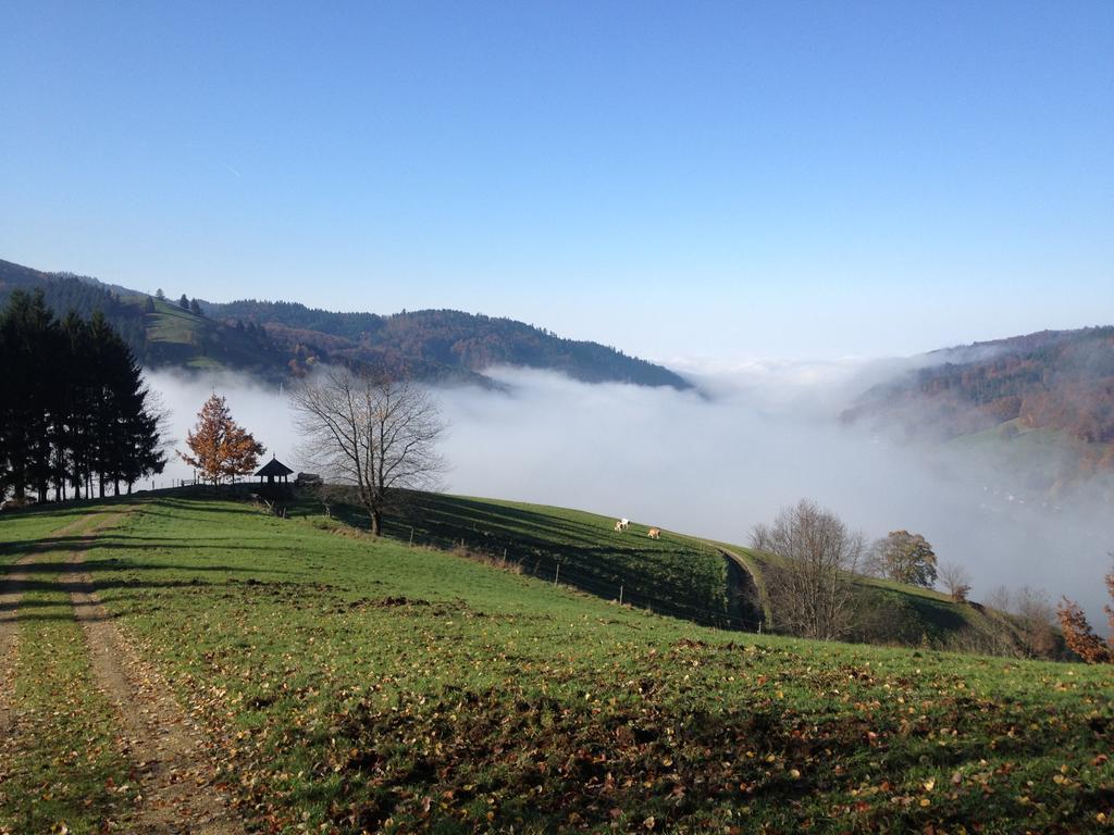 Gasthaus Zum Hirschen Staufen im Breisgau Ngoại thất bức ảnh