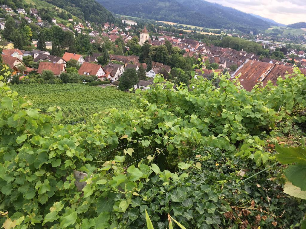 Gasthaus Zum Hirschen Staufen im Breisgau Ngoại thất bức ảnh